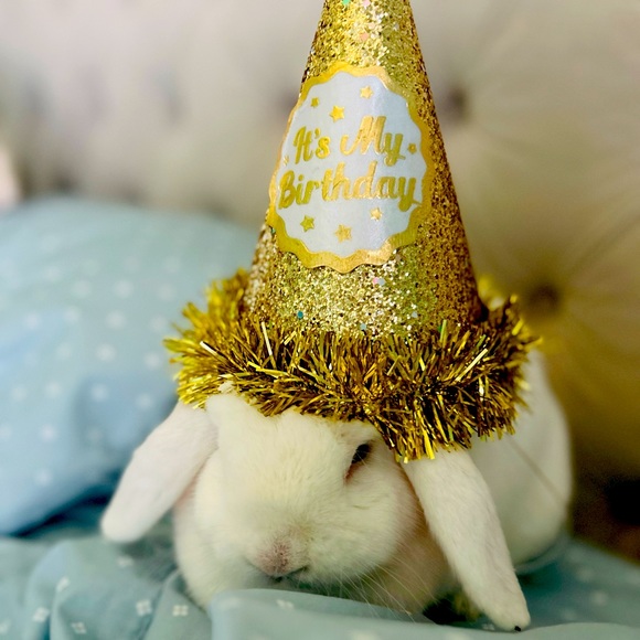 Meet your Posher, Roxana - Picture 1 of 1